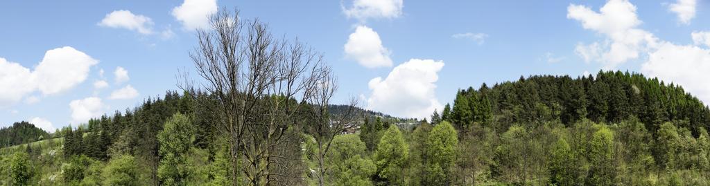 Chmiel Agroturismo Sromowce Wyzne